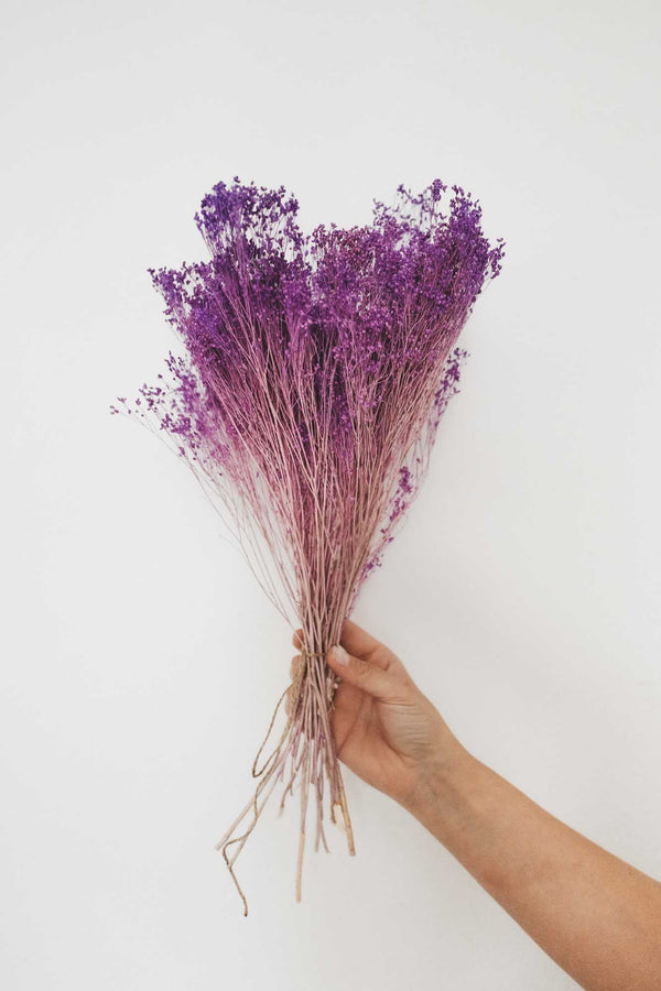 Bunch of Violet Broom Bloom