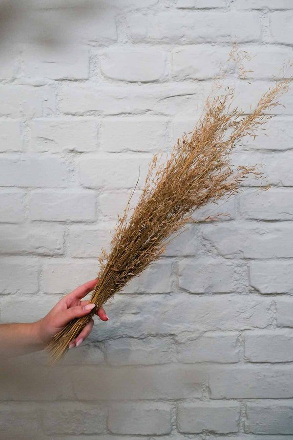 Bunch of brown hay