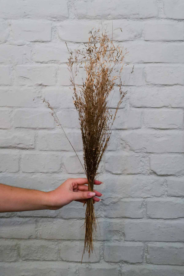 Bunch of golden hay