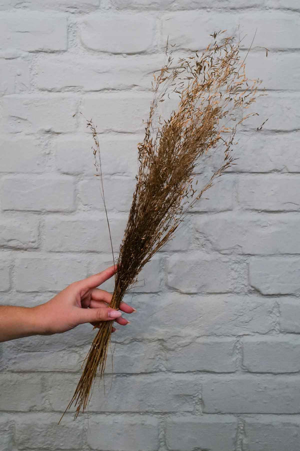 Bunch of golden hay