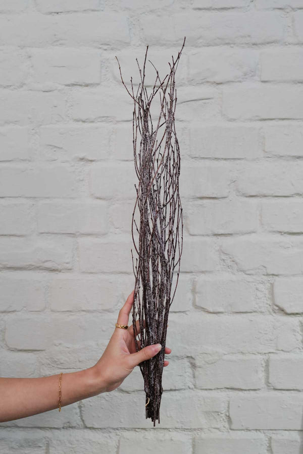 Bunch of brown winter branches