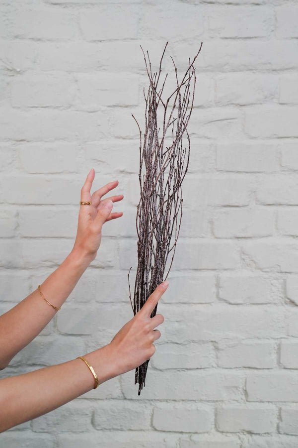 Bunch of brown winter branches