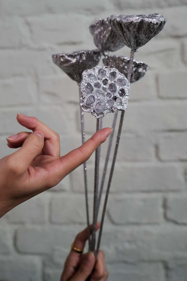 Bunch of Silver XXL Mohnkapseln