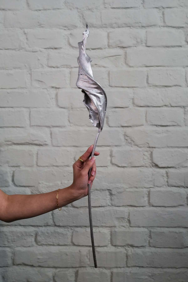Bunch of Silver XXL strelitzia leaves