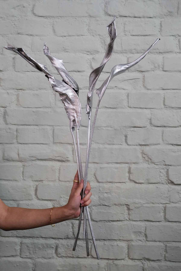 Bunch of Silver XXL strelitzia leaves
