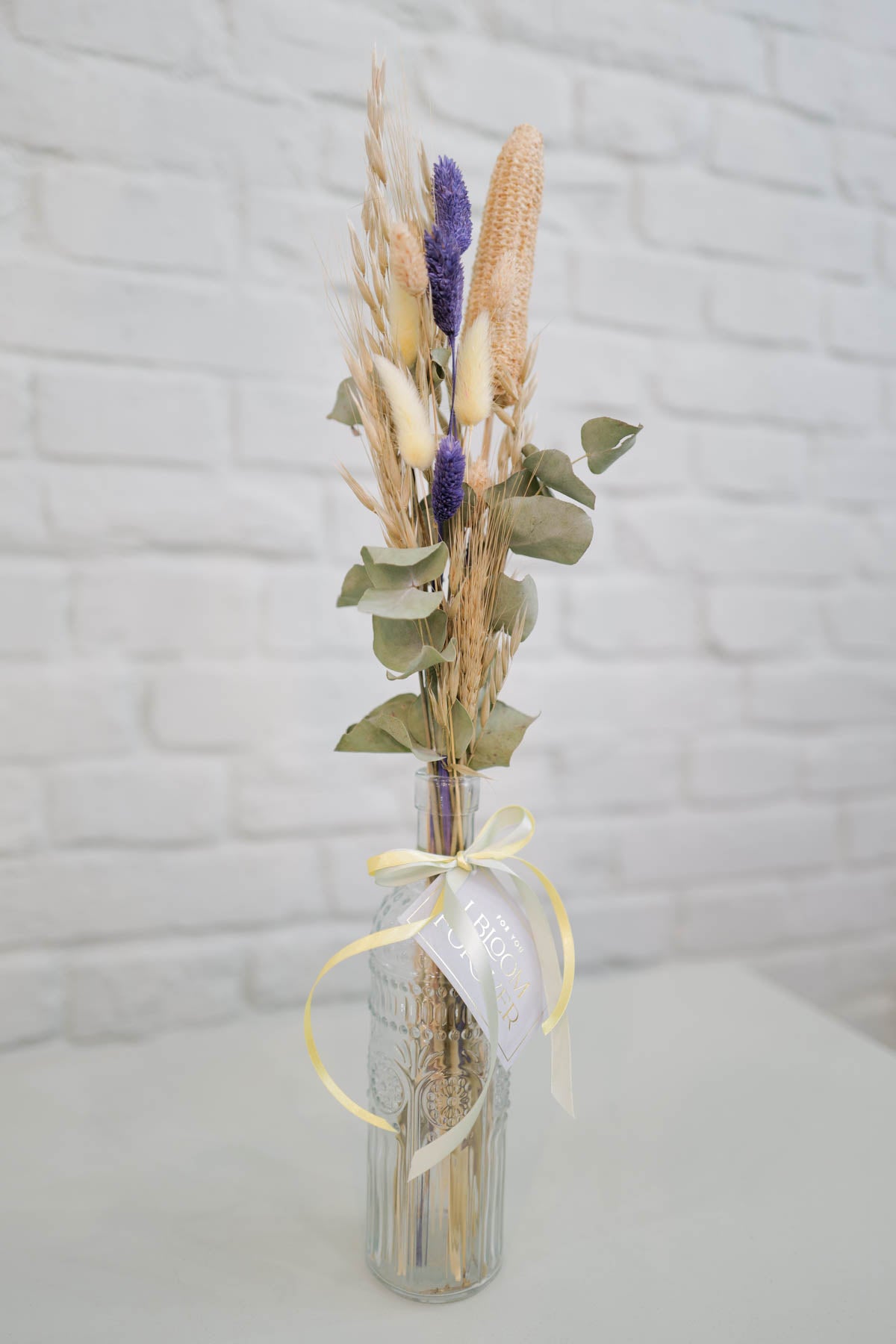 Everlasting Flowers in a Vase lola