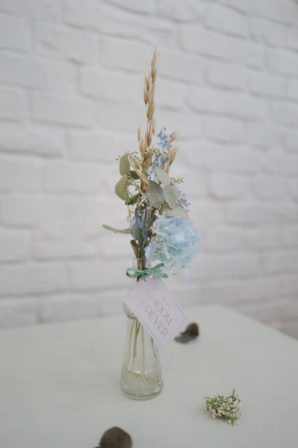 Everlasting Flowers in a Vase Illy