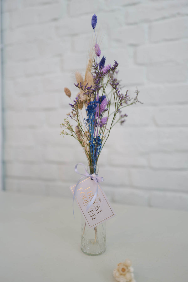 Everlasting Flowers in a Vase Tina