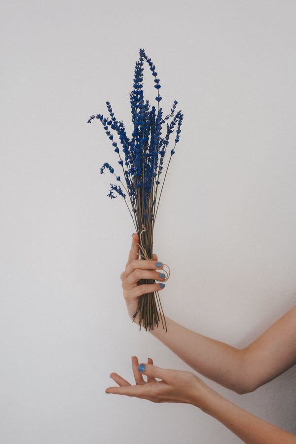 Bundle of preserved Lavender