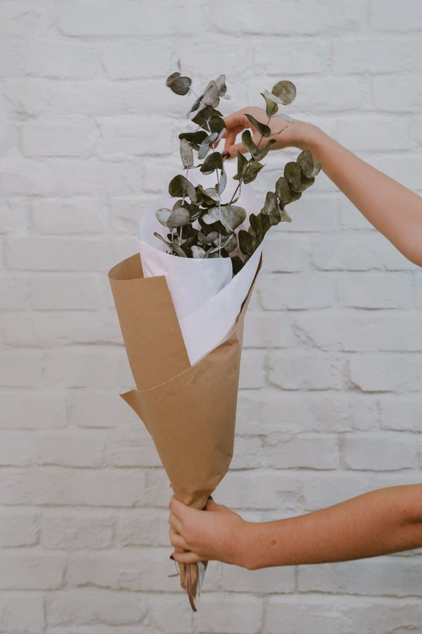 preserved Eucalyptus Bundle