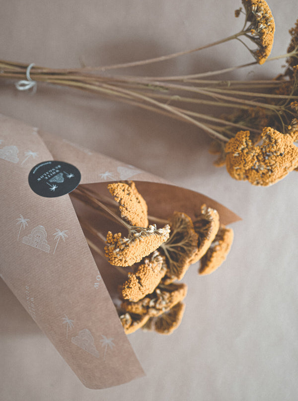 Bunch of Dried Achillea