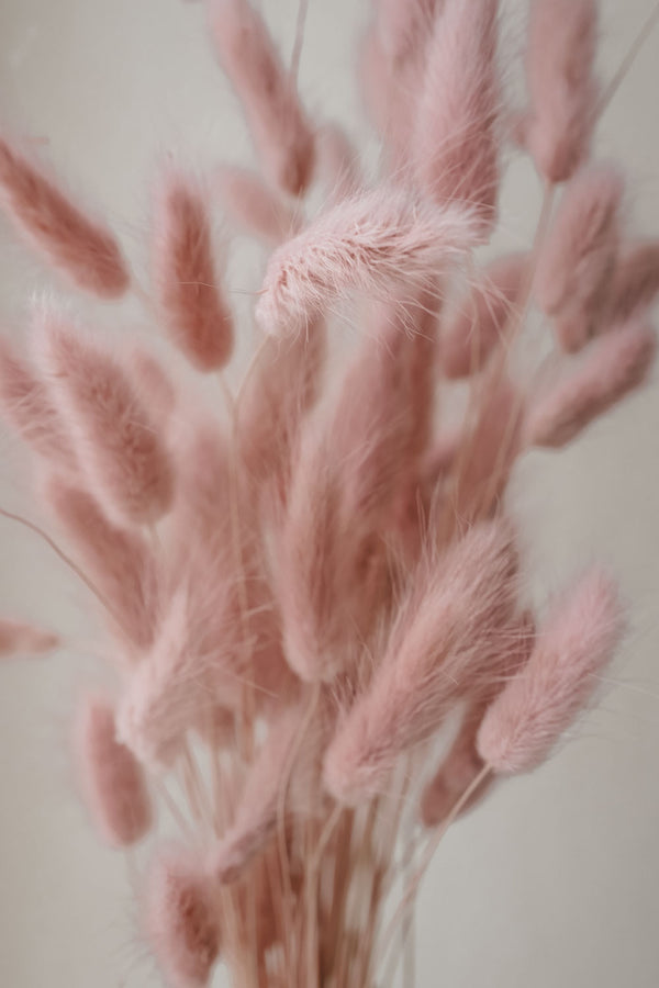 Bunch of Rosé Bunny Tails