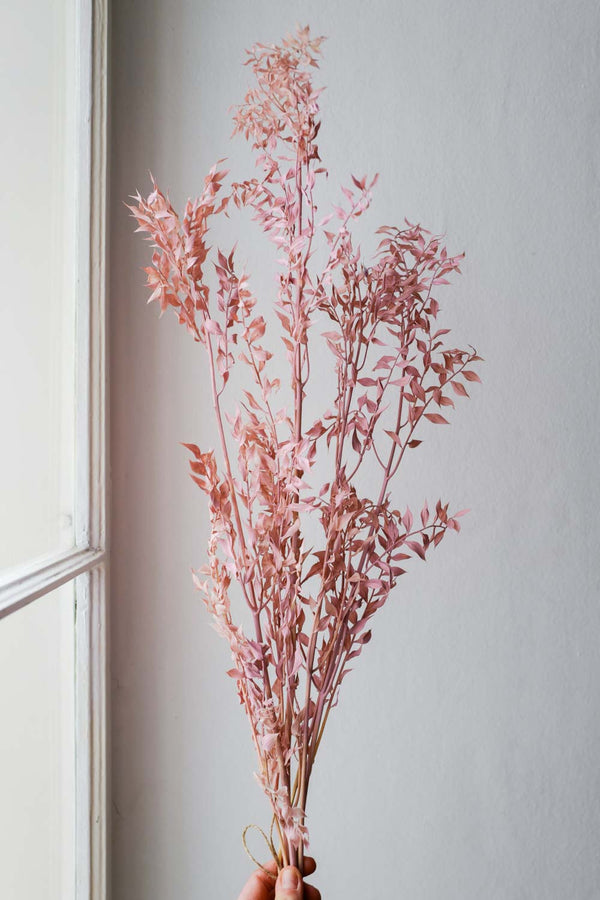 Bunch of Candy Rosé Ruscus