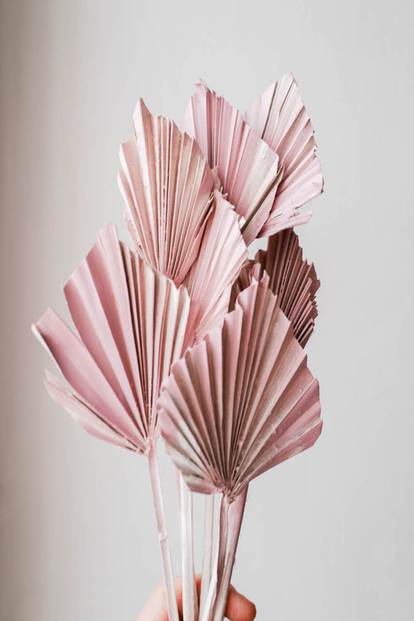 Bundle of natural dried Palm Spears Pastel Rosé