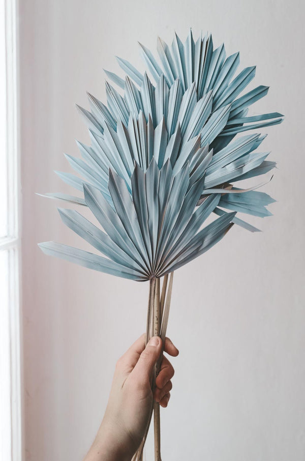 Bundle of Pastel Blue Palm Suns