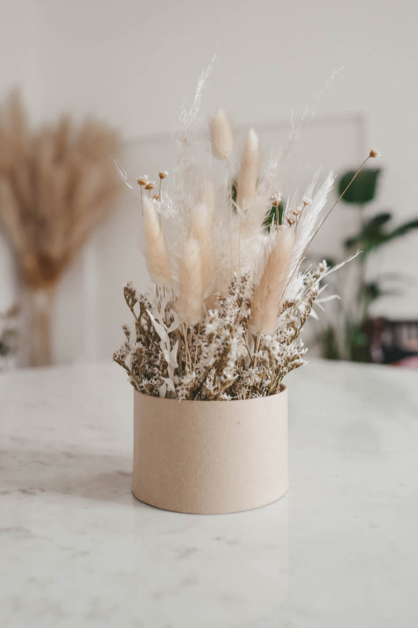 White Moon Dried Flower Box