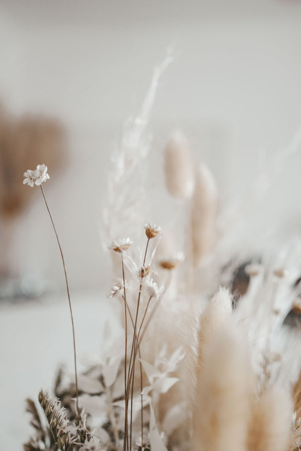 White Moon Dried Flower Box