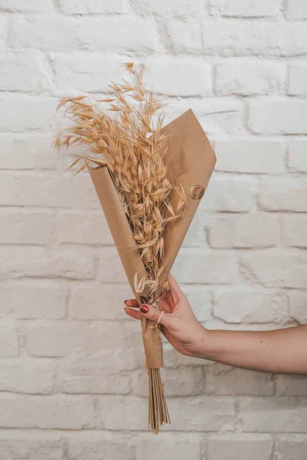 Bunch of Sild Oat Stalks