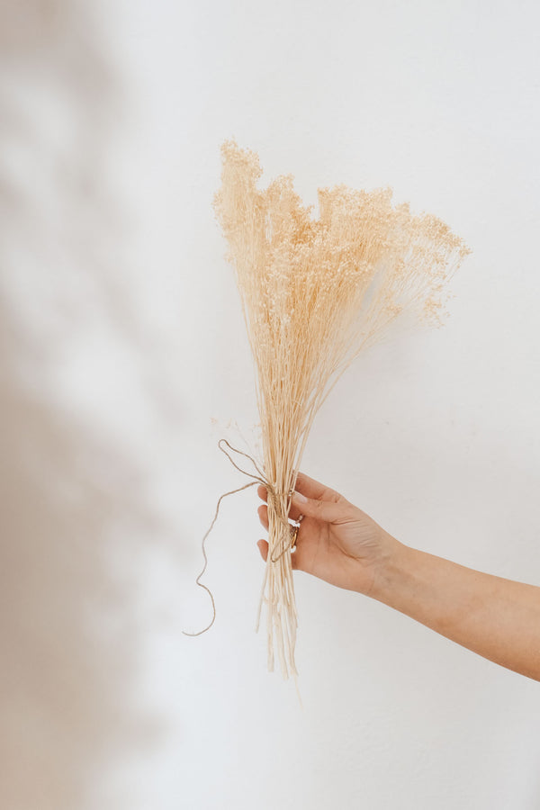 Bunch of White Broom Bloom