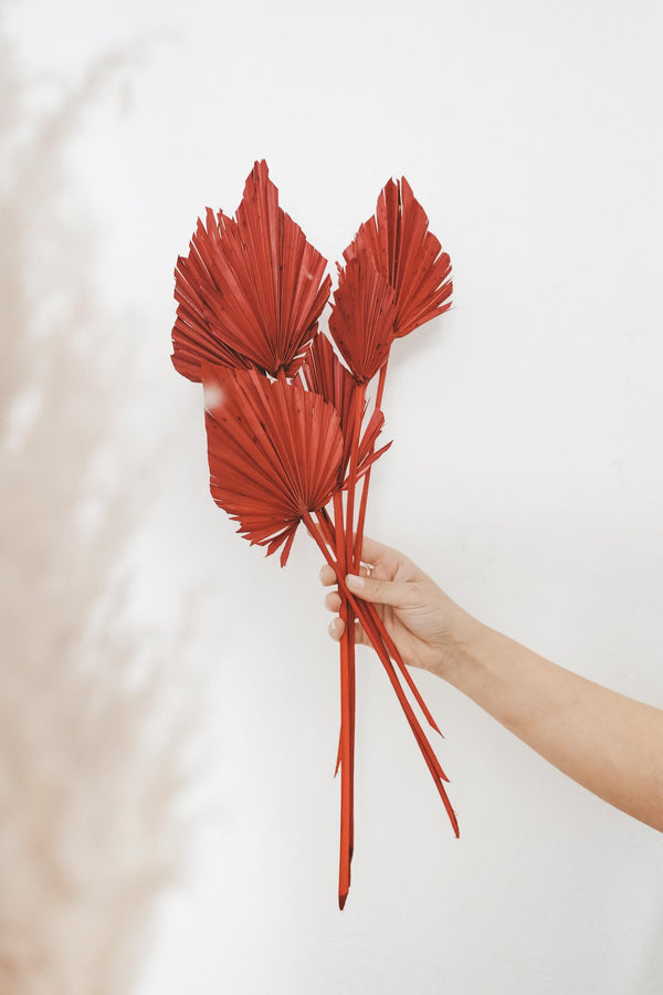 Bundle of red Palm Spears