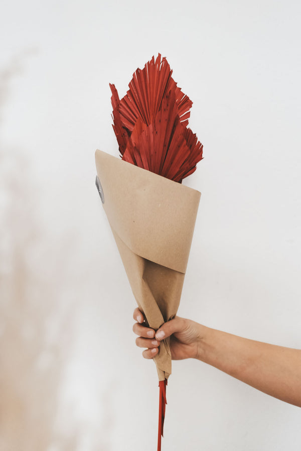 Bundle of red Palm Spears