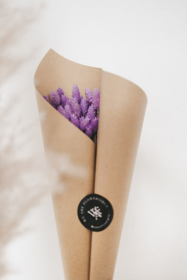 Bunch of Violet Phalaris