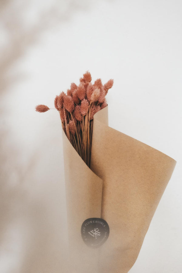 Bunch of Rosé Phalaris