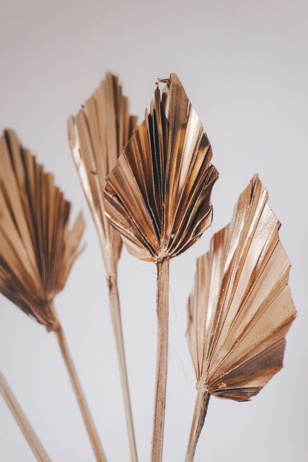 Bunch of Dried Golden Palm Spears