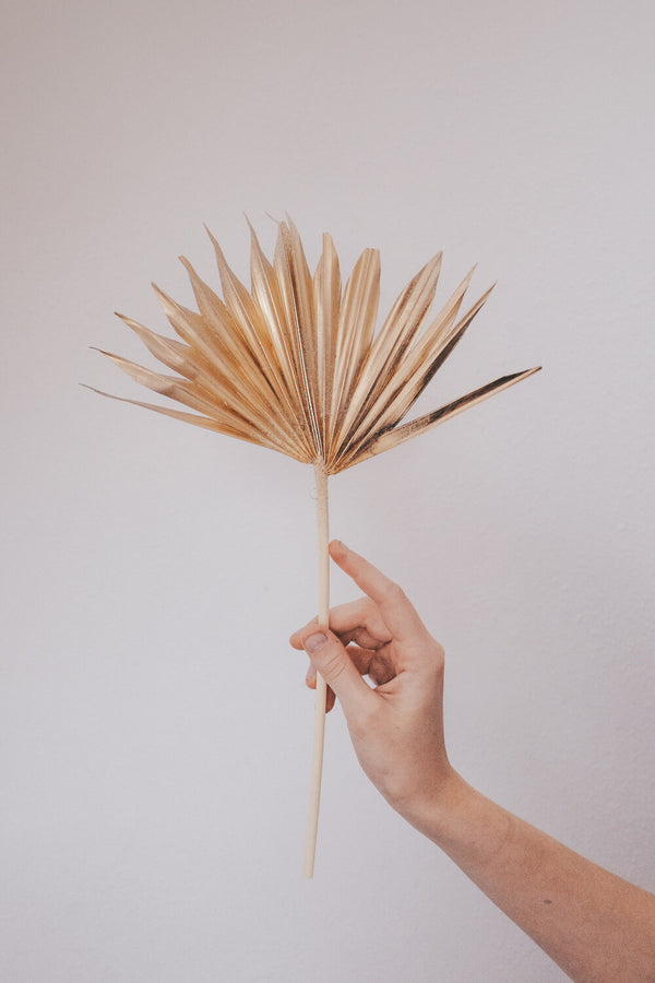 Golden Dried Palm Sun