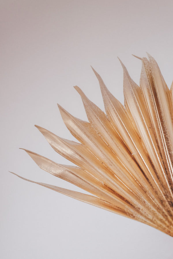 Golden Dried Palm Sun