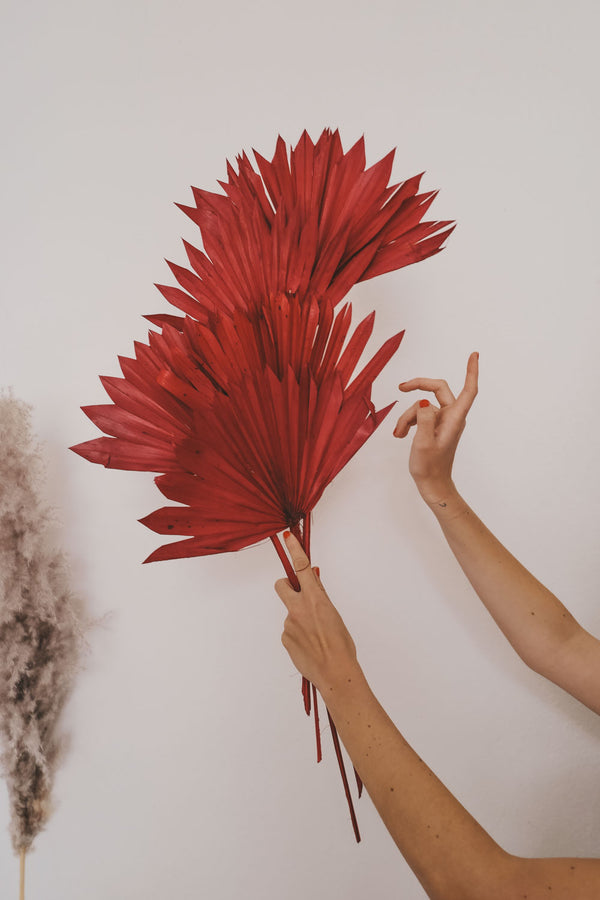 Bundle of Fuchsia Palm Suns
