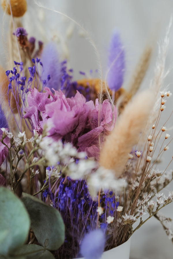 Dried Flower Box Lilac