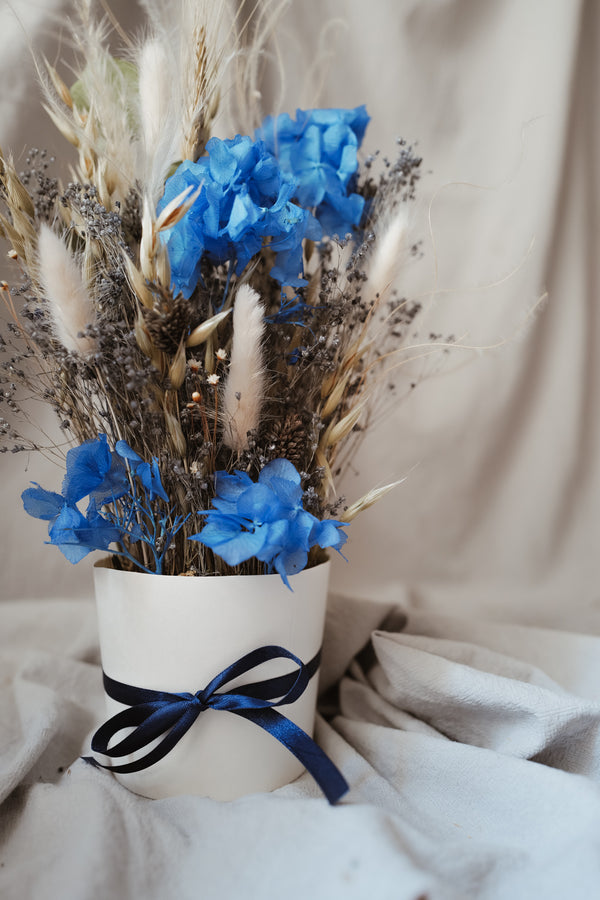 Dried Flower Box Blue Lagoon