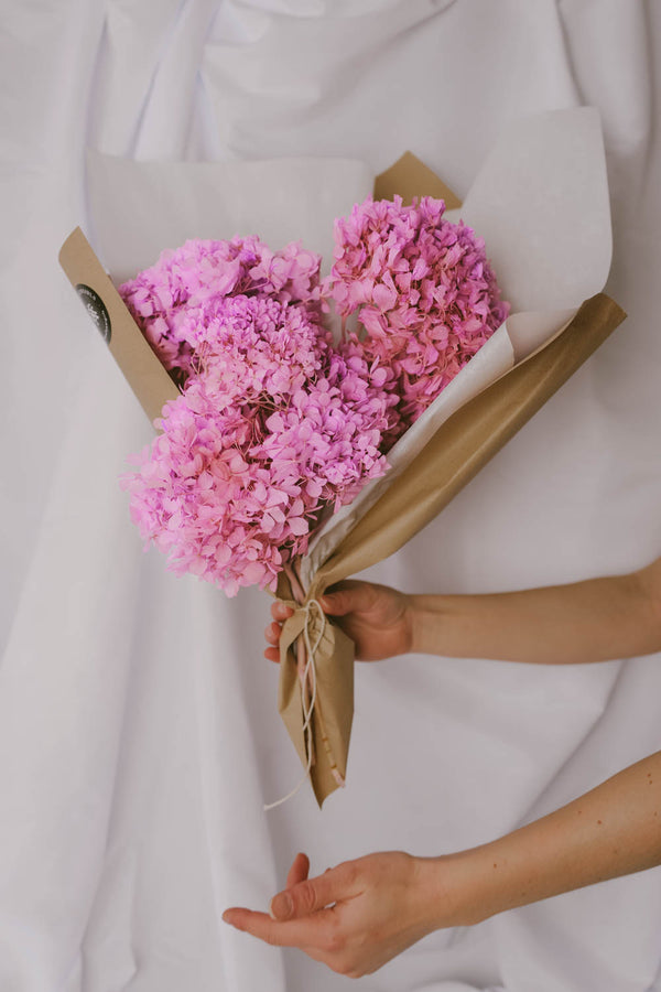 Bundle of preserved and everlasting Hydrangea Rosé