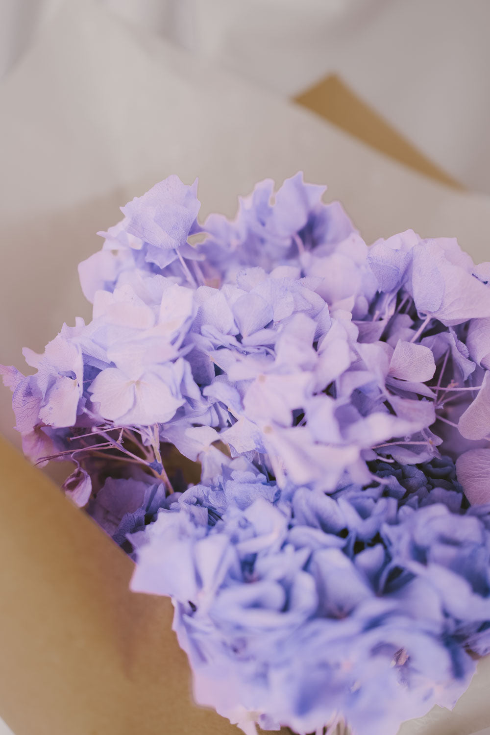 Bundle of preserved and everlasting Hydrangea Lavender