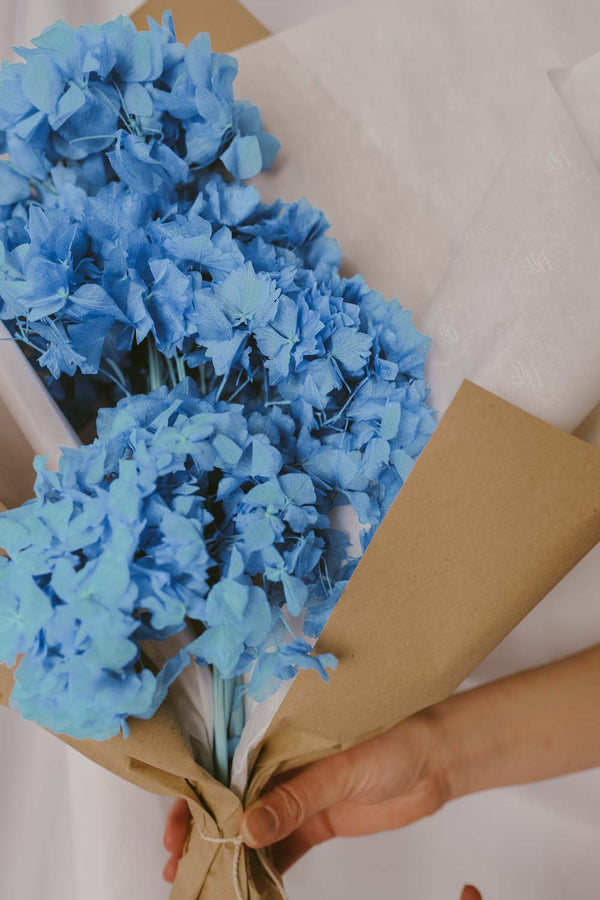 Bundle of preserved and everlasting Hydrangea Electric Blue