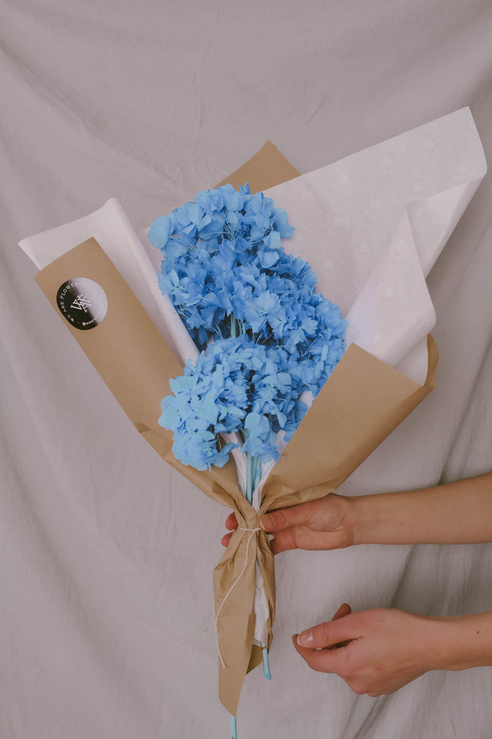 Bundle of preserved and everlasting Hydrangea Electric Blue